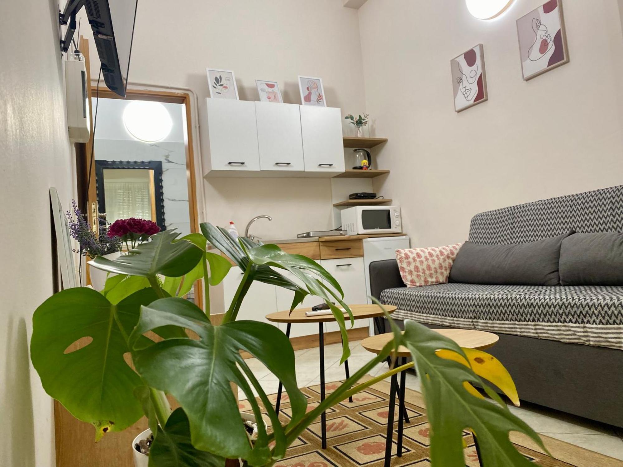 Dori'S Wilson Studio At Blloku Neighborhood Tiran Dış mekan fotoğraf